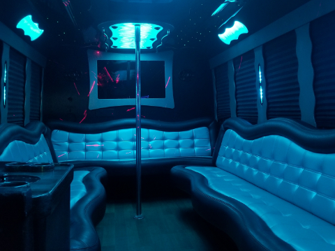 Houston Rodeo Transportation